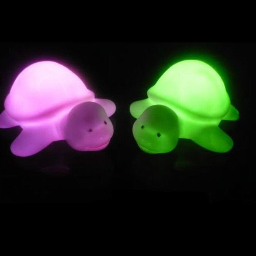 Lighted Turtle