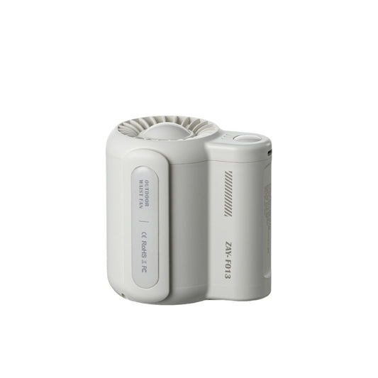 Portable Waist Fan